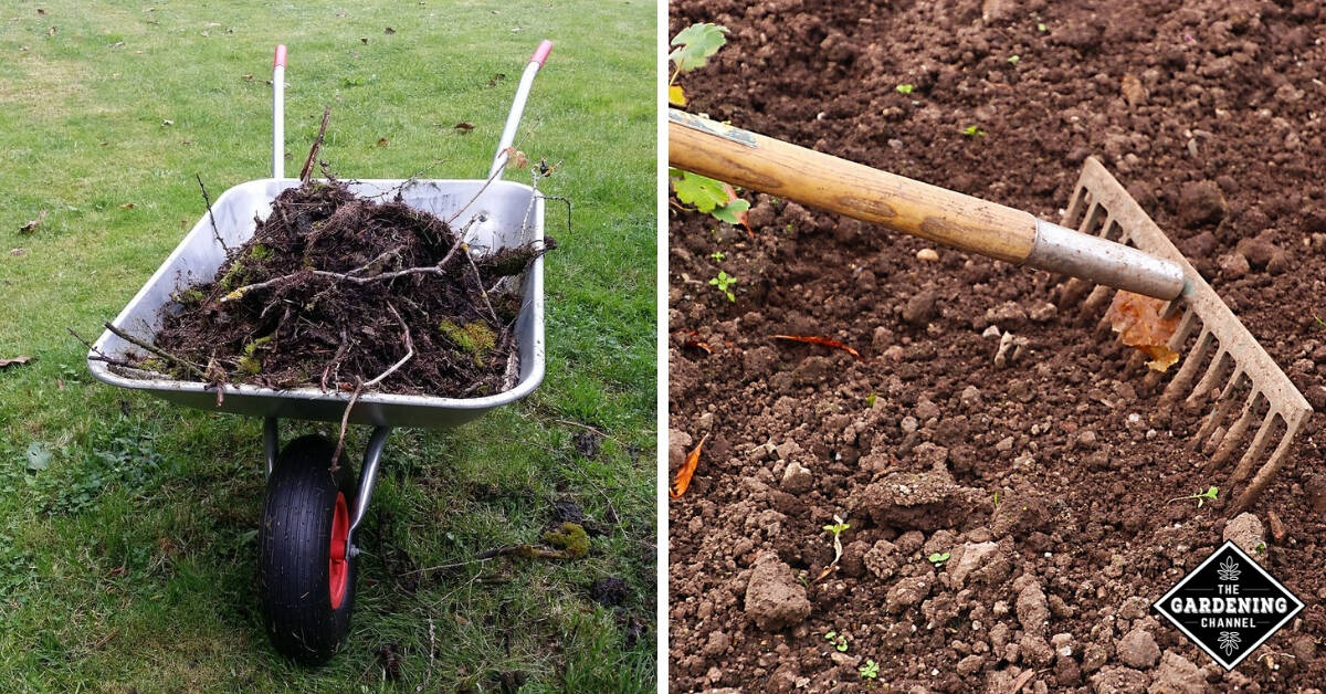 Image of Gardener using rake to level soil in a vegetable garden