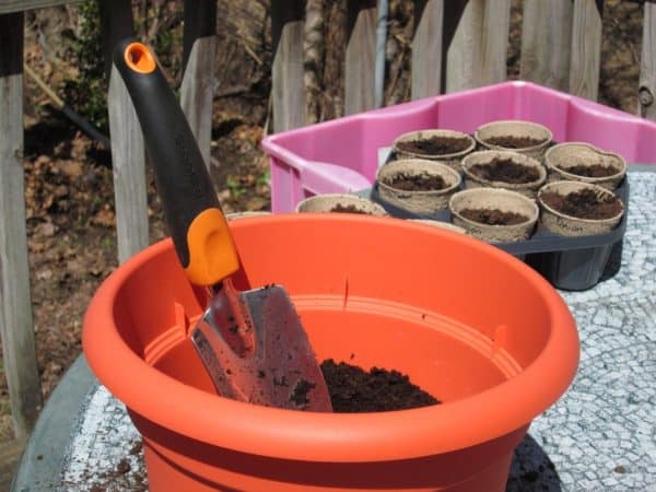 Soil and Drainage Tips for Container Gardening in Canada - Featured Image