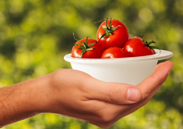 How many tomatoes do you get from one plant? Gardening