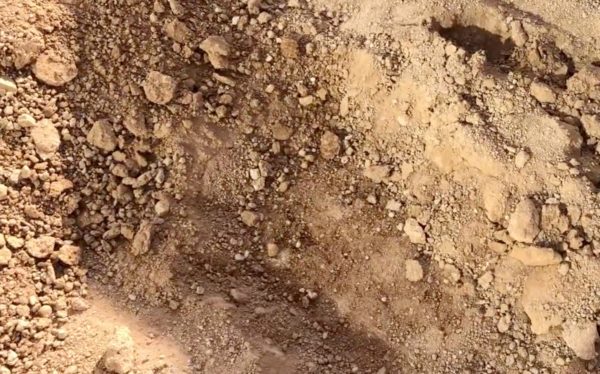 Caliche: How to Know If Your Garden Has This Tricky Soil Type, Plus