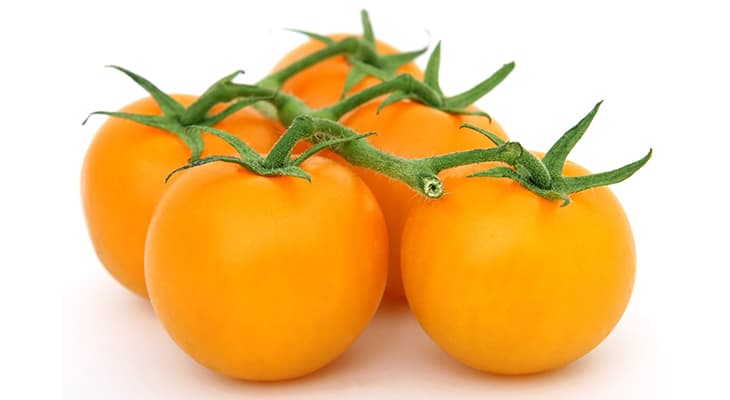 How to Grow and Prune the Sun Sugar Tomato