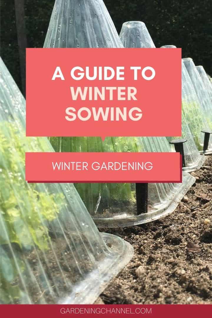 A Guide To Winter Sowing Gardening Channel