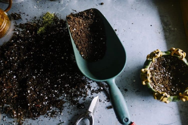 It's a Garden Myth that Potting Soil Should Not Be Reused Here's Why