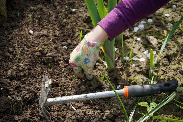 Image of Deluxe Hand Weeder Tool with 3 Curved Tines