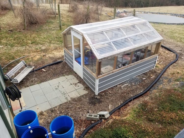 Greenhouse Growing for Beginners How I Started Gardening Channel