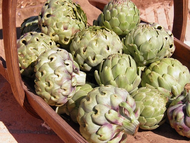 Can You Eat Too Many Artichokes Gardening Channel