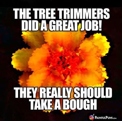 25 Dumb But Funny Gardening Memes