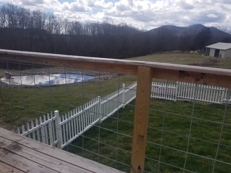 12 Ways to Use Cattle Panels for the Garden or Homestead Gardening