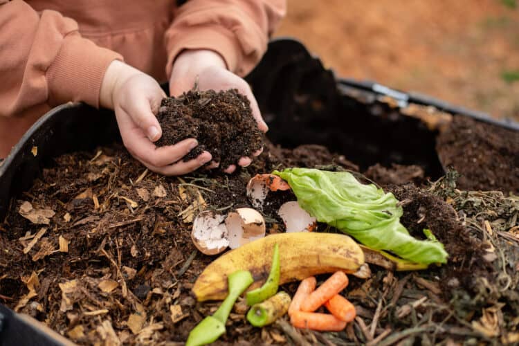 When is compost ready? Gardening Channel octopussgardencafe