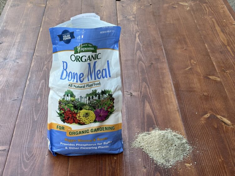 Bone Meal Explained A Gardener s Guide Gardening Channel bone-meal-explained-a-gardener-s-guide-gardening-channel