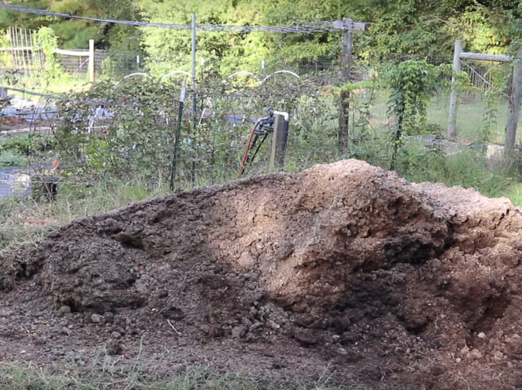 Will mushroom compost burn plants? Gardening Channel