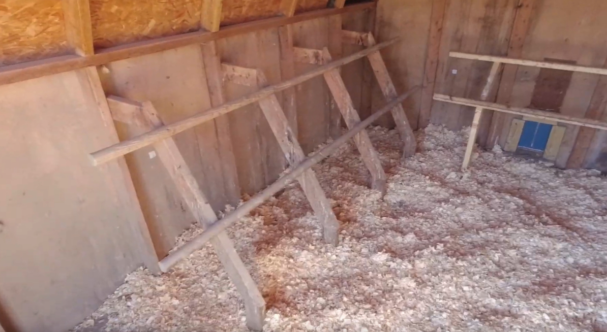 An Urban Guide to Using Litter in Your Chicken Coop Gardening Channel